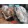 BETONAMIT® Original 2.5 kg – Das nicht-explosive Sprengmittel für Beton, Stein und Fels
