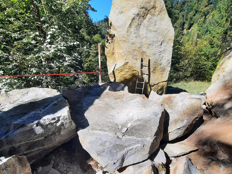 Fels im Wald beseitigen