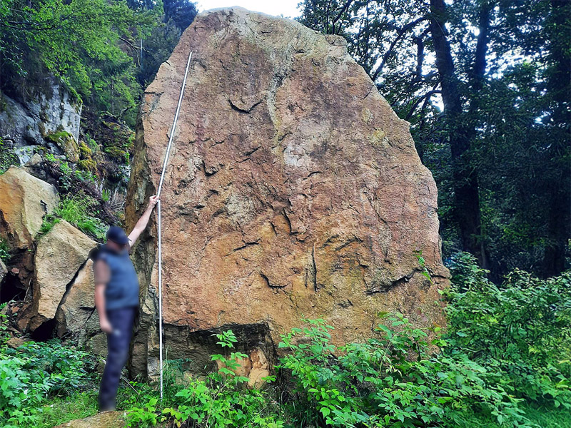 Fels im Wald entfernen