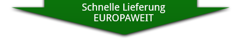 Schnelle Lieferung in ganz Europa